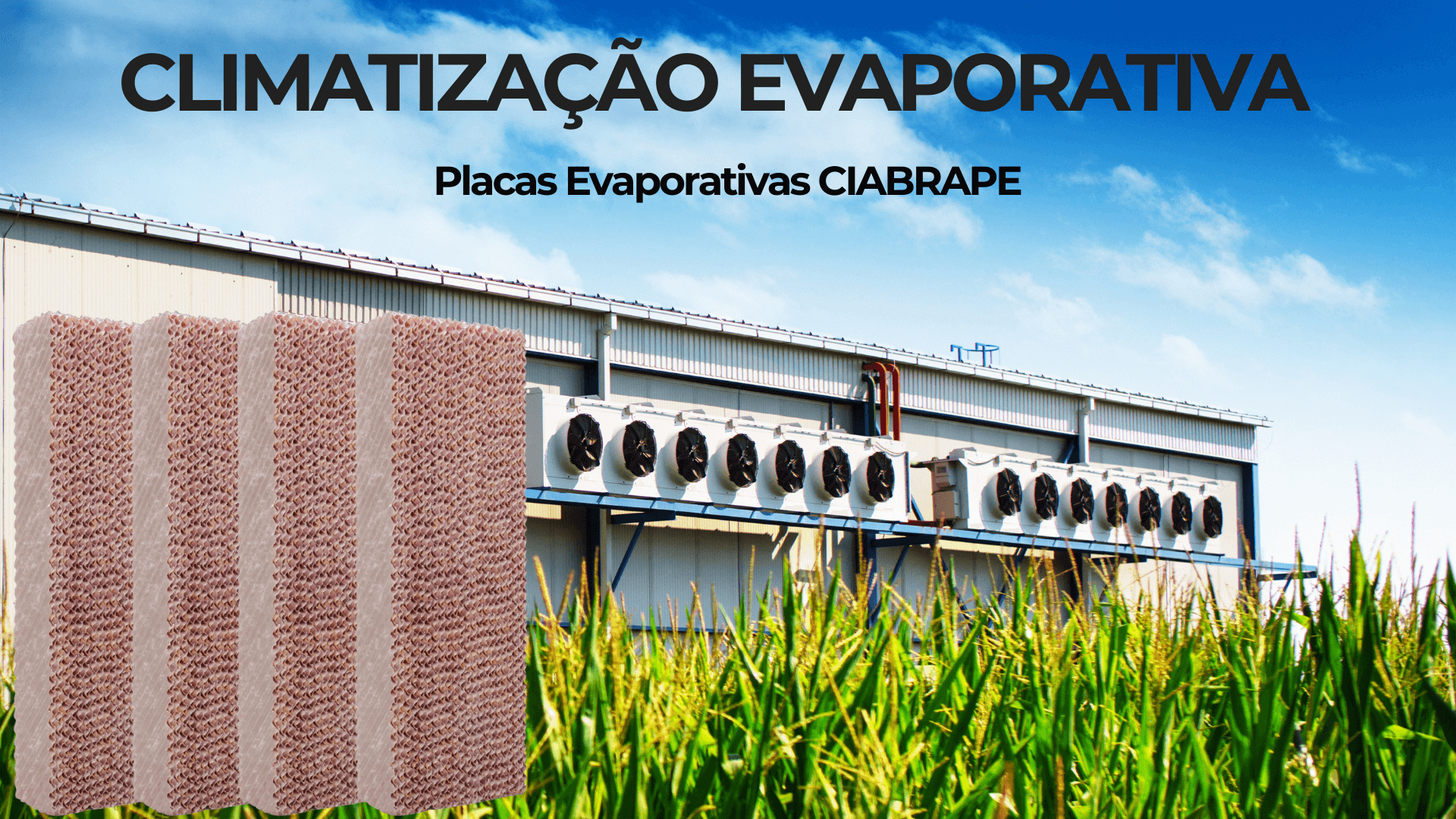Climatização-com-placas-evaporativa -ciabrape-Painéis Evaporativos